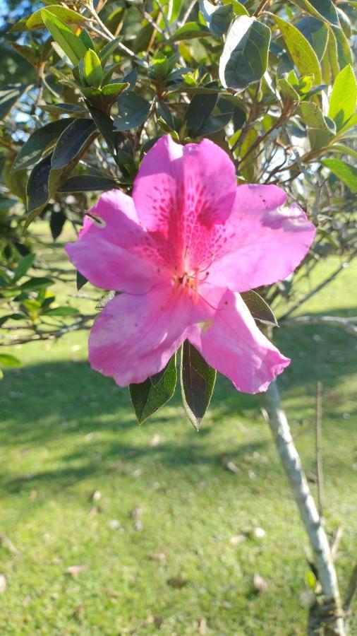 Pousada Do Sobrado Bagé Esterno foto