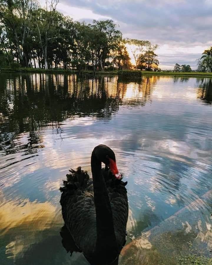 Pousada Do Sobrado Bagé Esterno foto