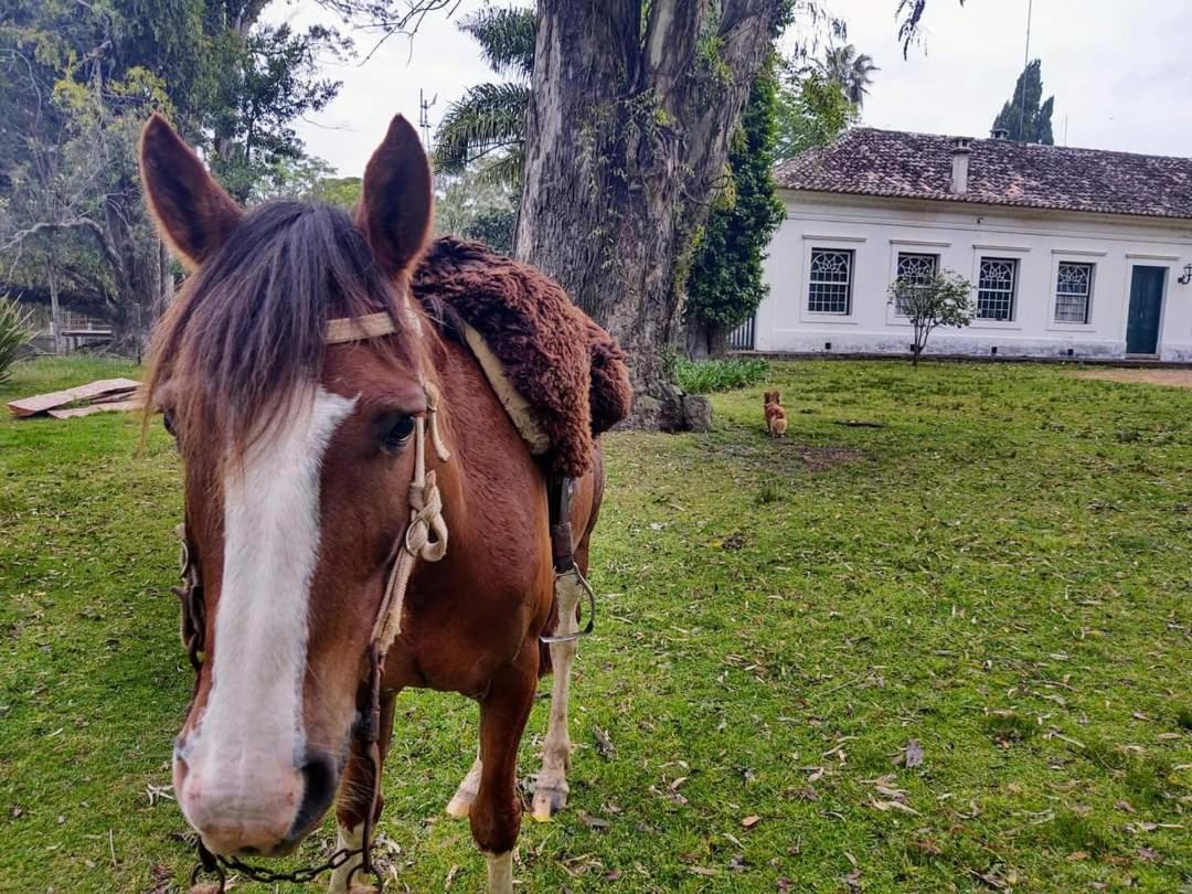 Pousada Do Sobrado Bagé Esterno foto